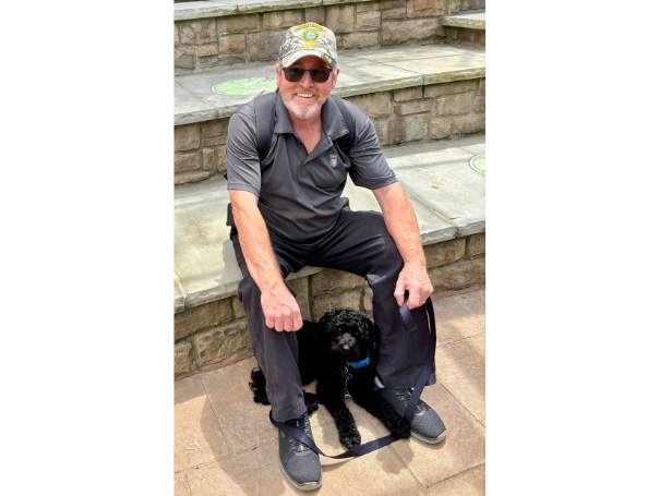 Eddie, a small labradoodle service-dog-in-training, sits on a rock in the woods