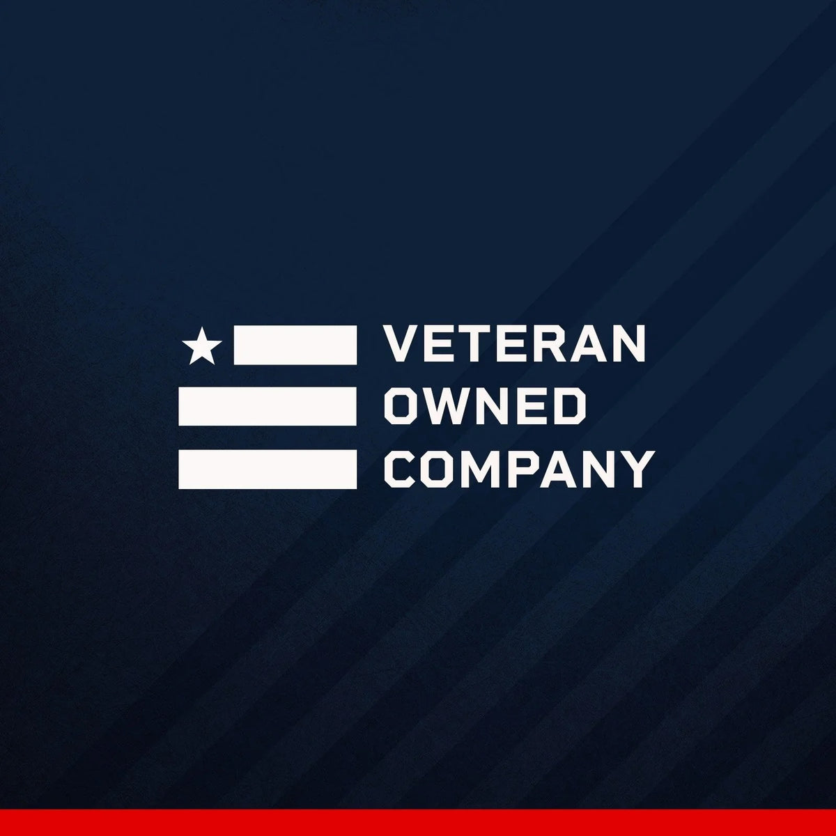 WE STAND UNITED - Veterans Solidarity Paracord Bracelet