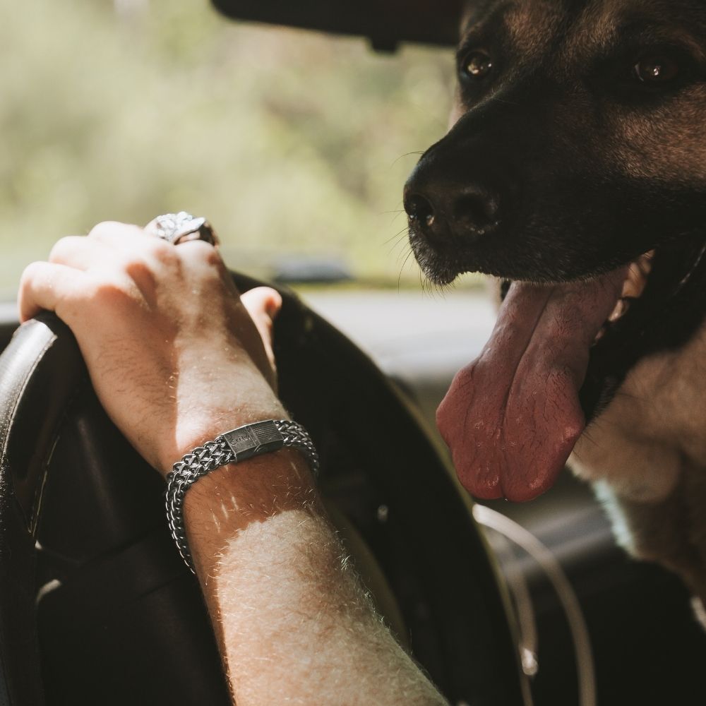 Knight's Creed BELIEVE Credo Bracelet: Helps Pair Veterans with Service or Shelter Dogs