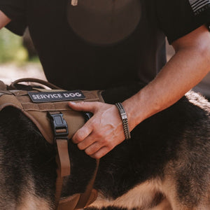 Deal 33% Off- Knight's Creed BELIEVE Credo Bracelet: Helps Pair Veterans with Service or Shelter Dogs