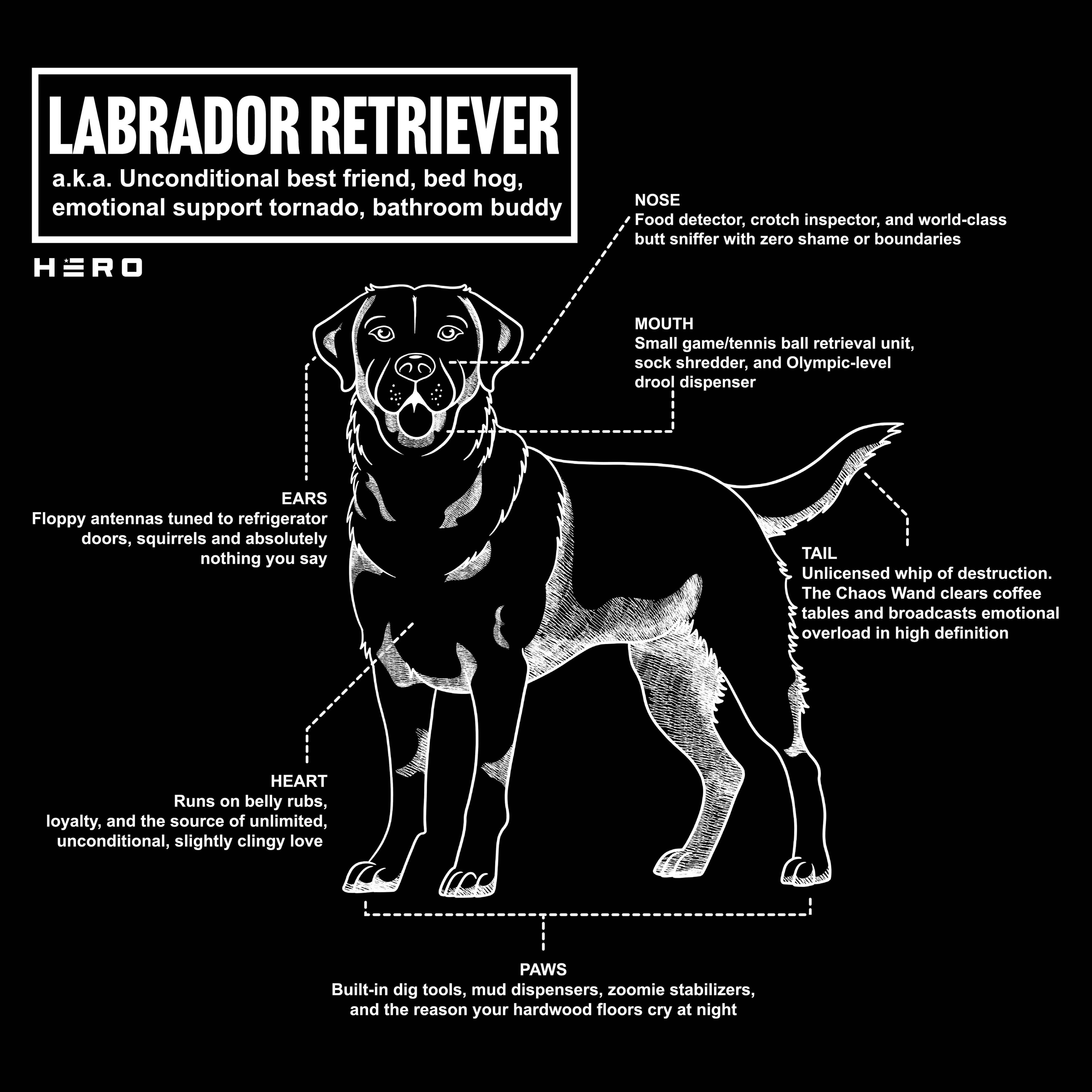 Hero Company Men's Unconditional Best Friend Labrador Retriever Tee - Helps Pair Veterans With A Service Dog or Shelter Dog