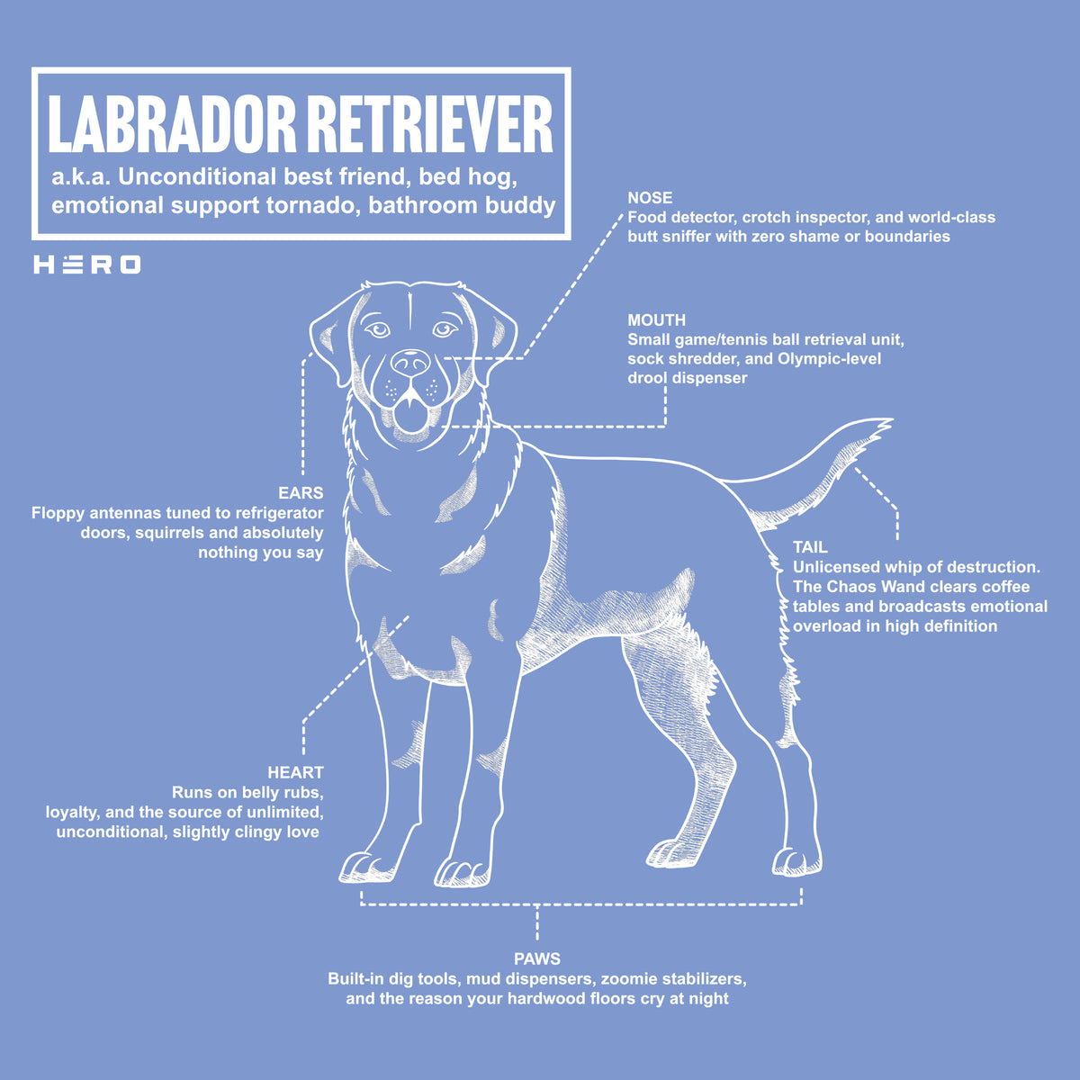 Hero Company Men's Labrador Retriever Unconditional Best Friend Tee - Helps Pair Veterans With A Service Dog or Shelter Dog