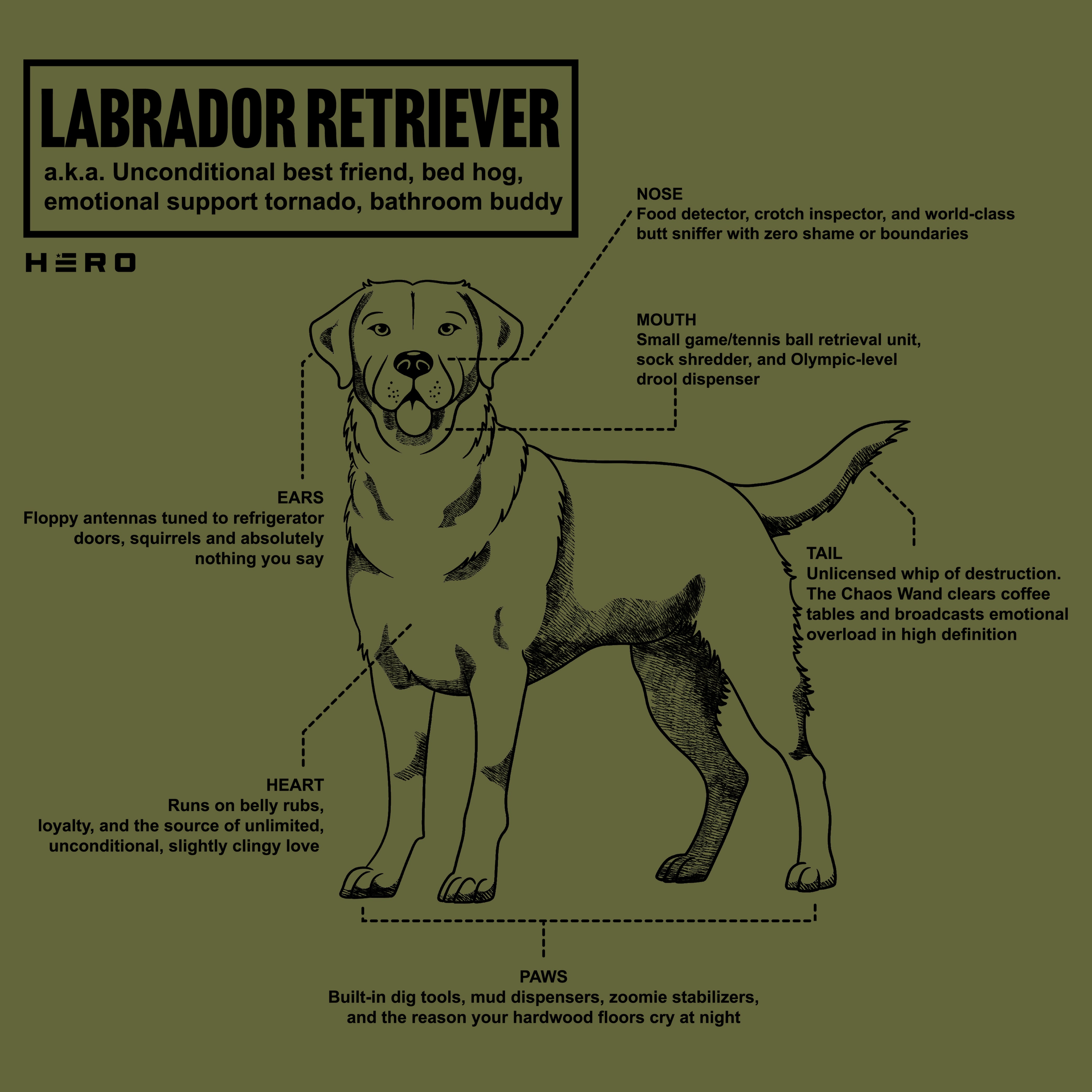Hero Company Men's Unconditional Best Friend Labrador Retriever Tee - Helps Pair Veterans With A Service Dog or Shelter Dog
