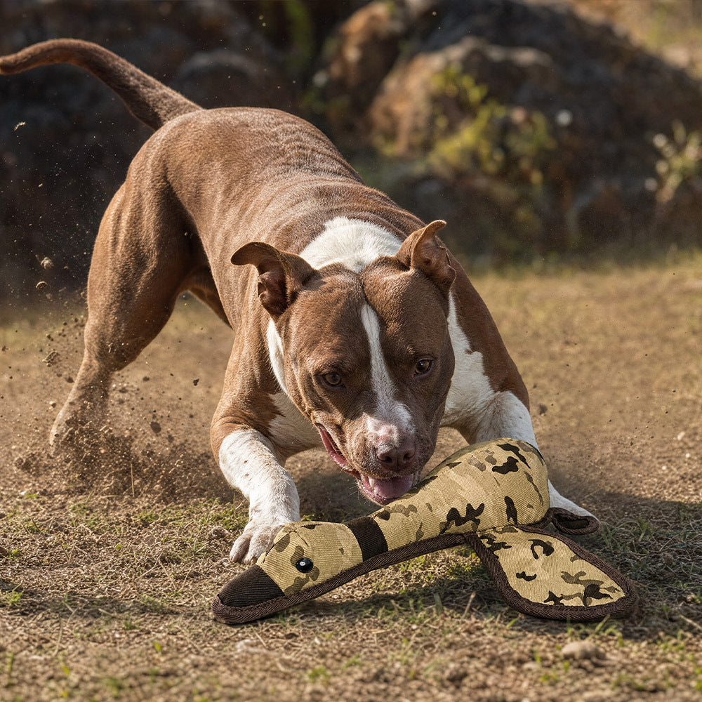 Hunter Mallard Duck - Durable MIL-TOUGH Camo Dog Toy