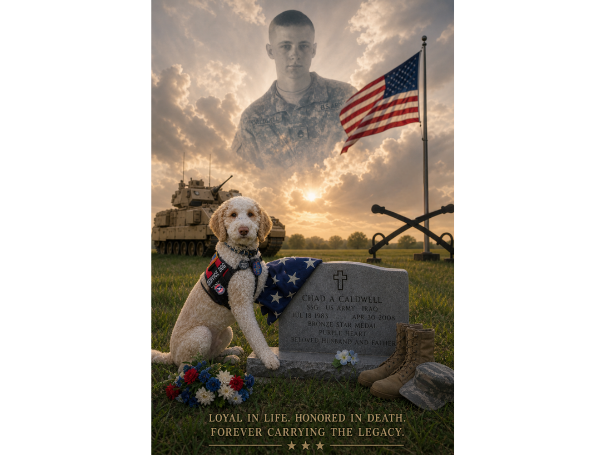 Caldwell, a black service dog, rolling playfully on his back with his trainer