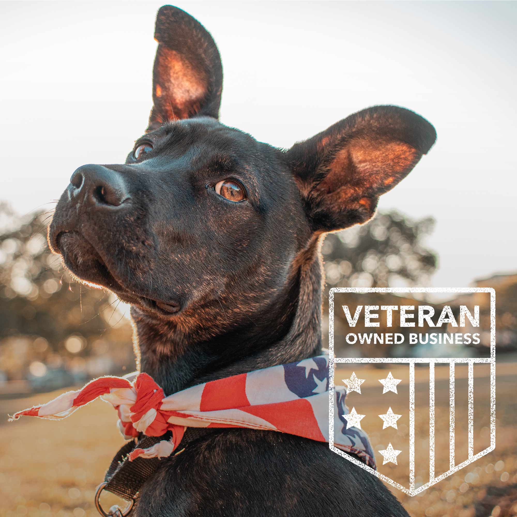 Hero Company Men's Proud To Be An Air Force Dad Black Tee - Helps Pair Veterans With A Service Dog or Shelter Dog