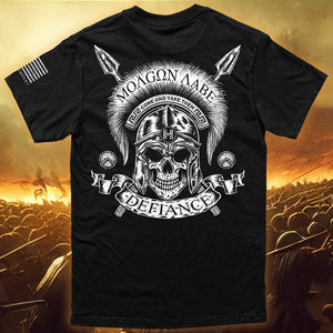 nedsænket dynasti Adskillelse Limited Edition Artist Series - Spartan Defiance T-shirt - The Hero Company